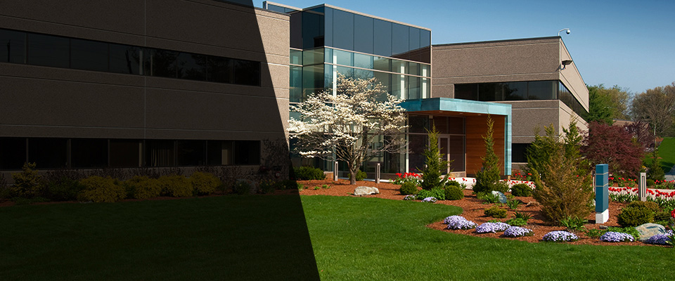 Elbert Landscapers