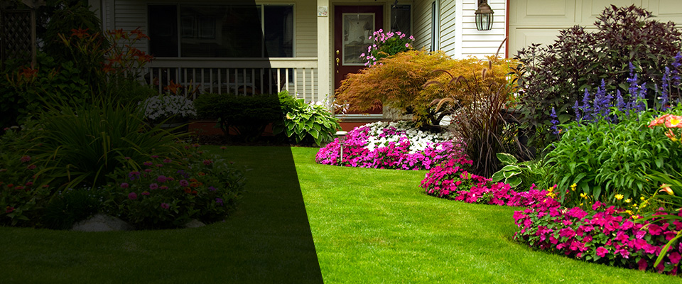 Elbert Landscapers