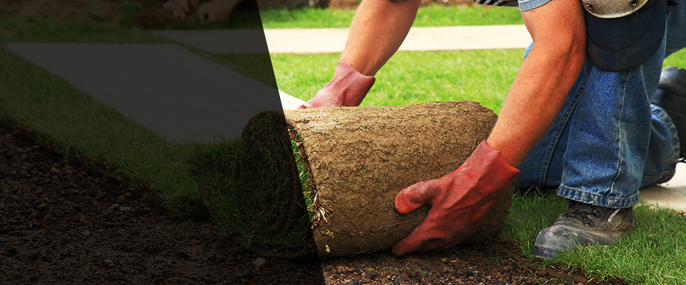 Elbert Landscapers